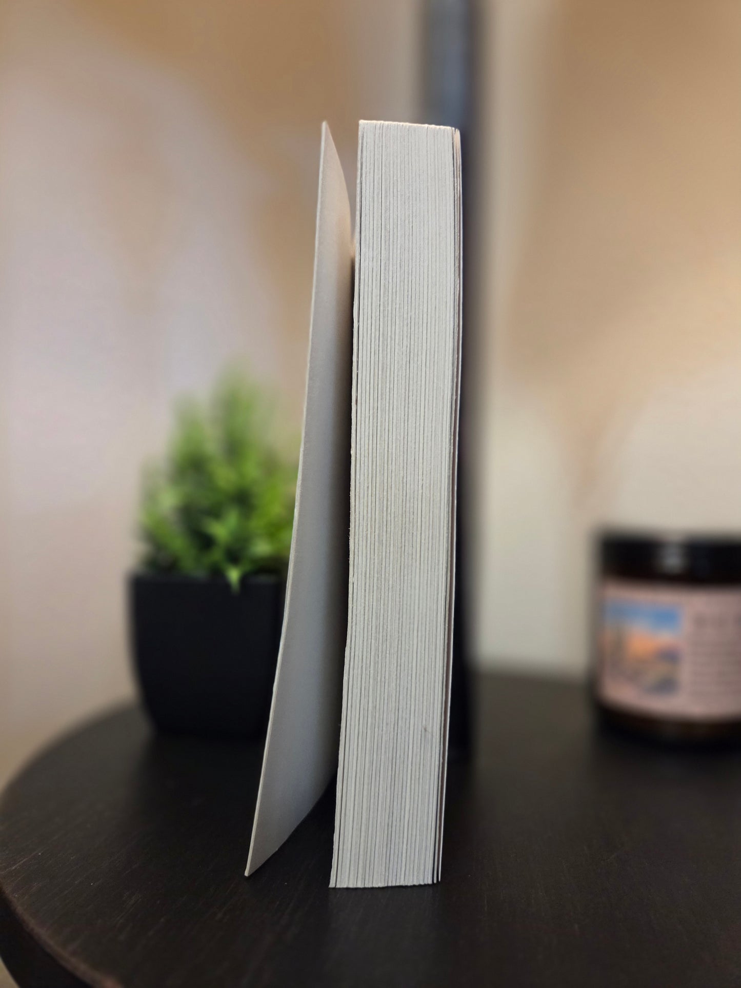 Kristin Hannah - Home Again