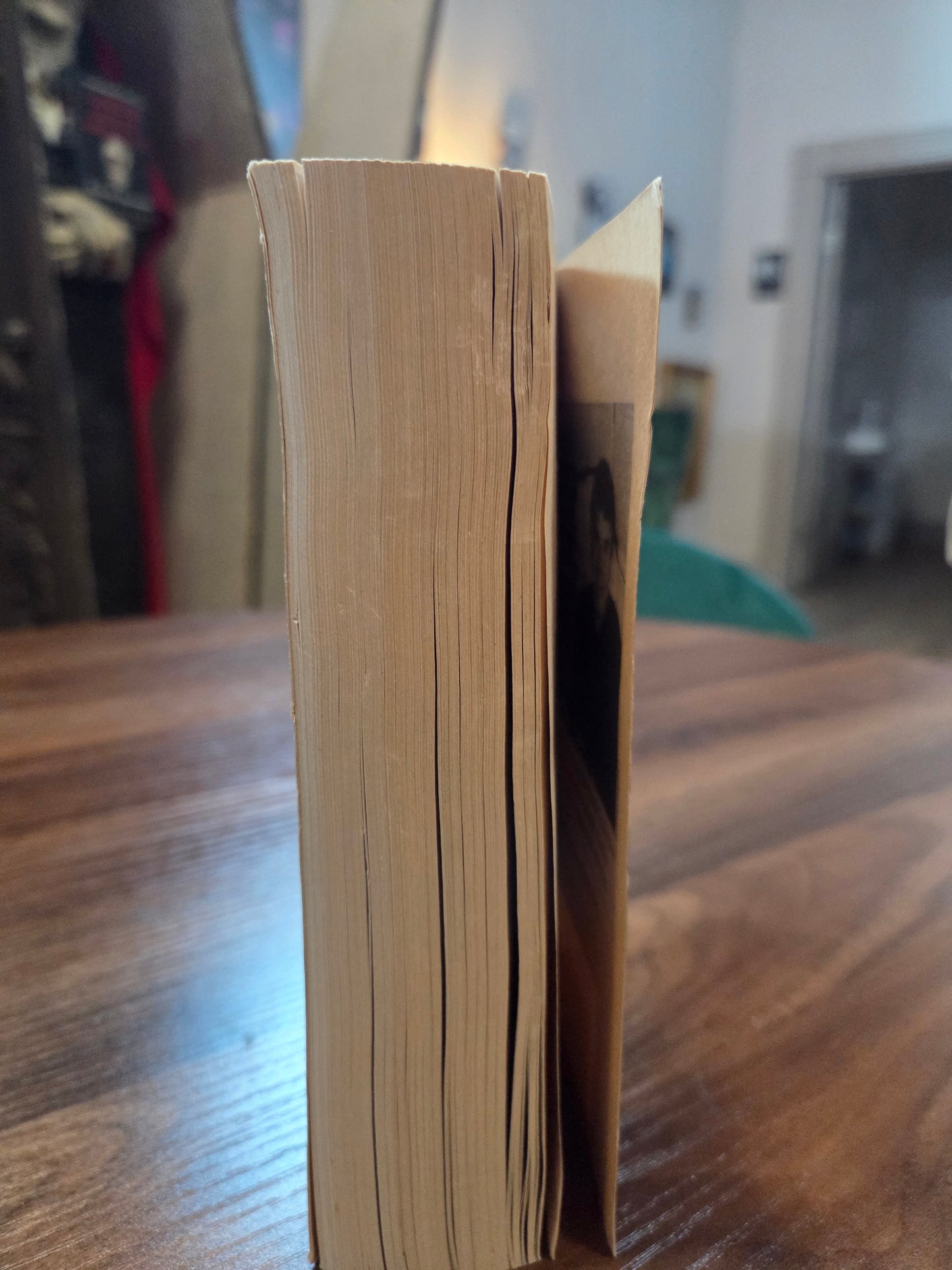 Dean Koontz - The Face