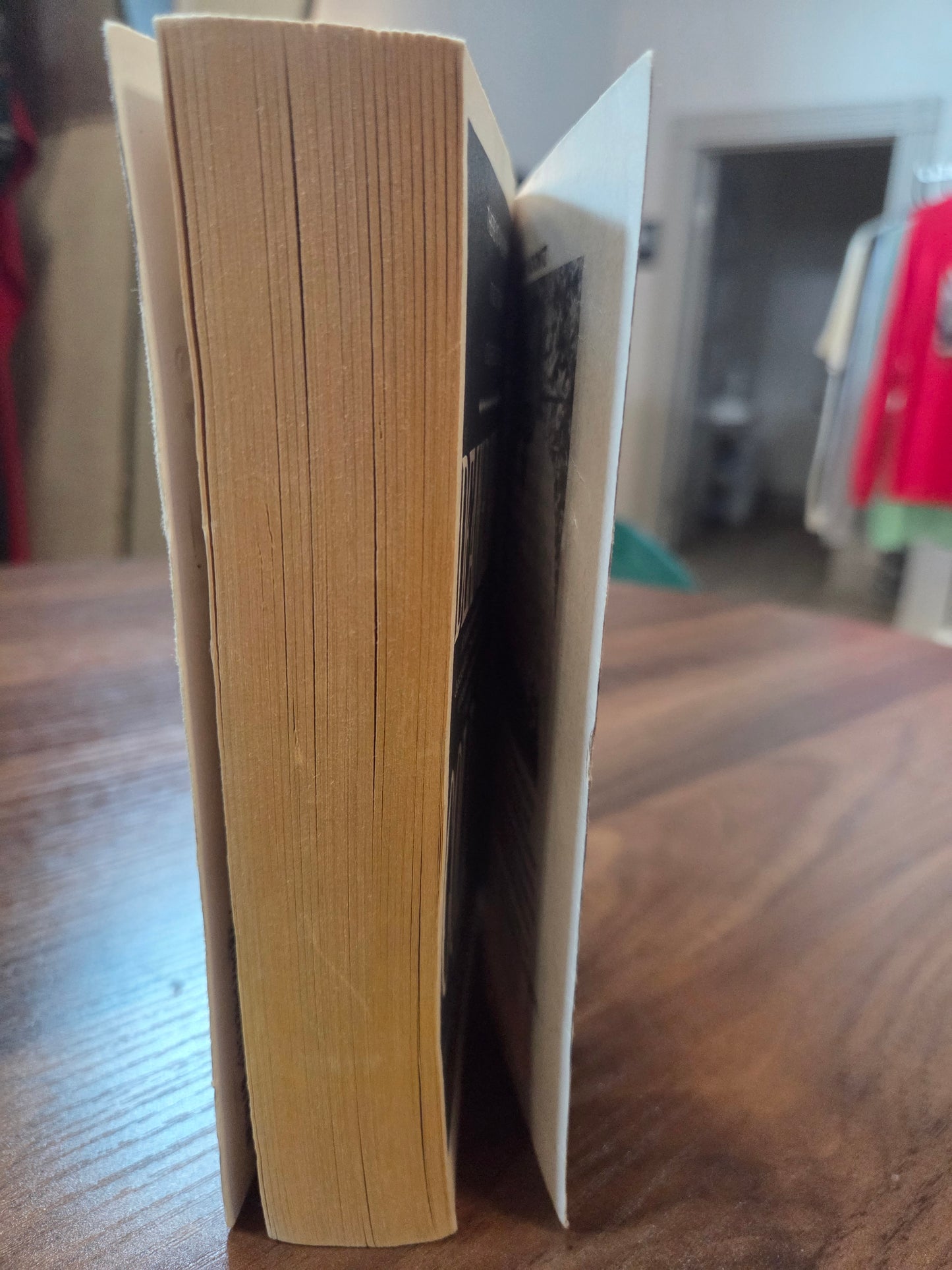 Dean Koontz - The Bad Place