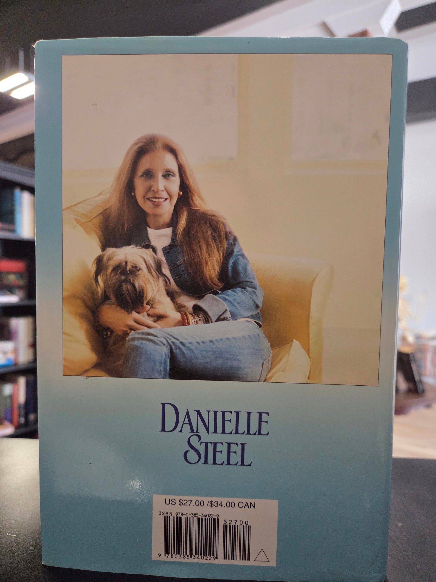 Danielle Steel - Sisters