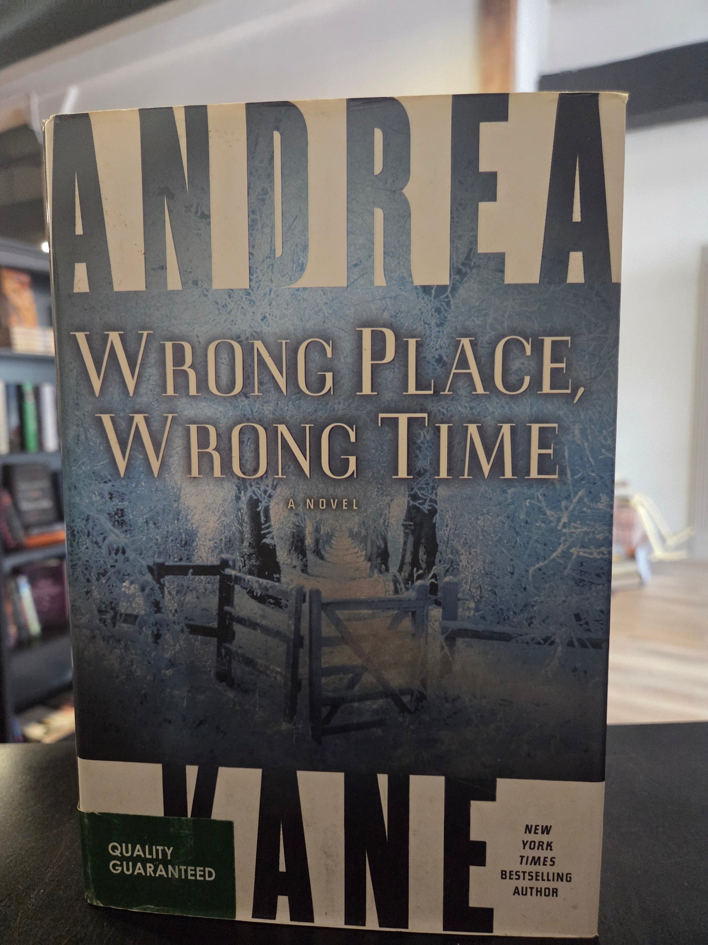 Andrea Kane - Wrong Place, Wrong Time