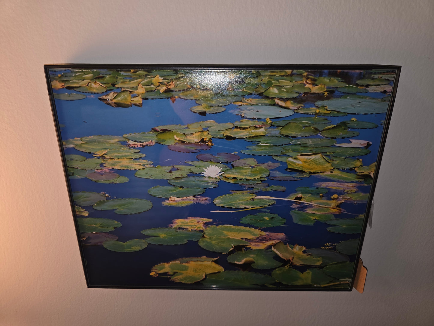 8x11 photos framed