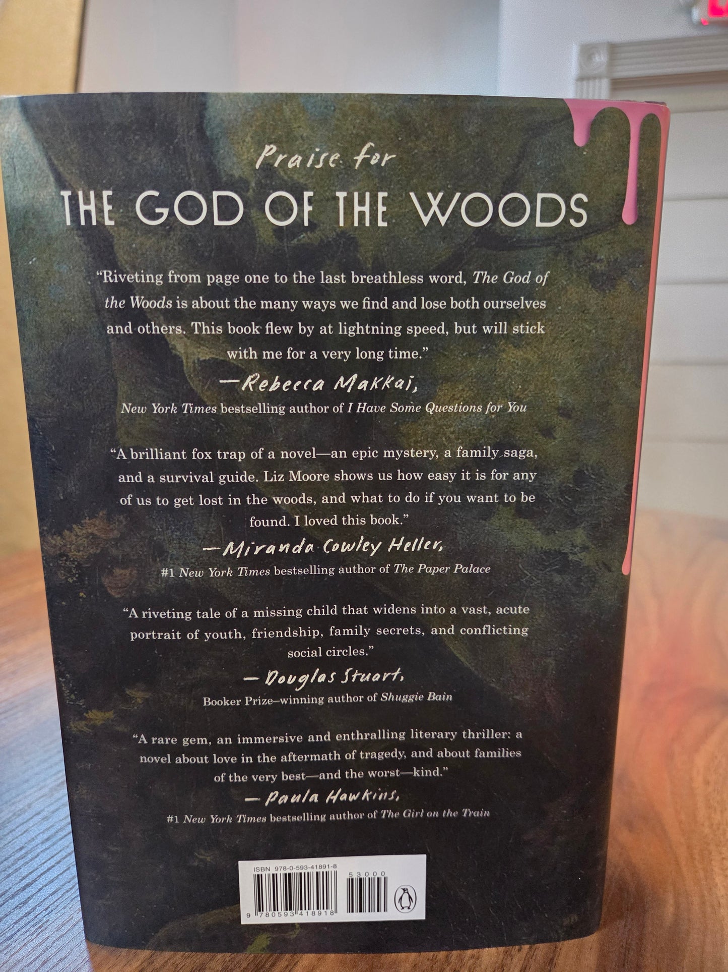 Liz Moore - The God of the Woods