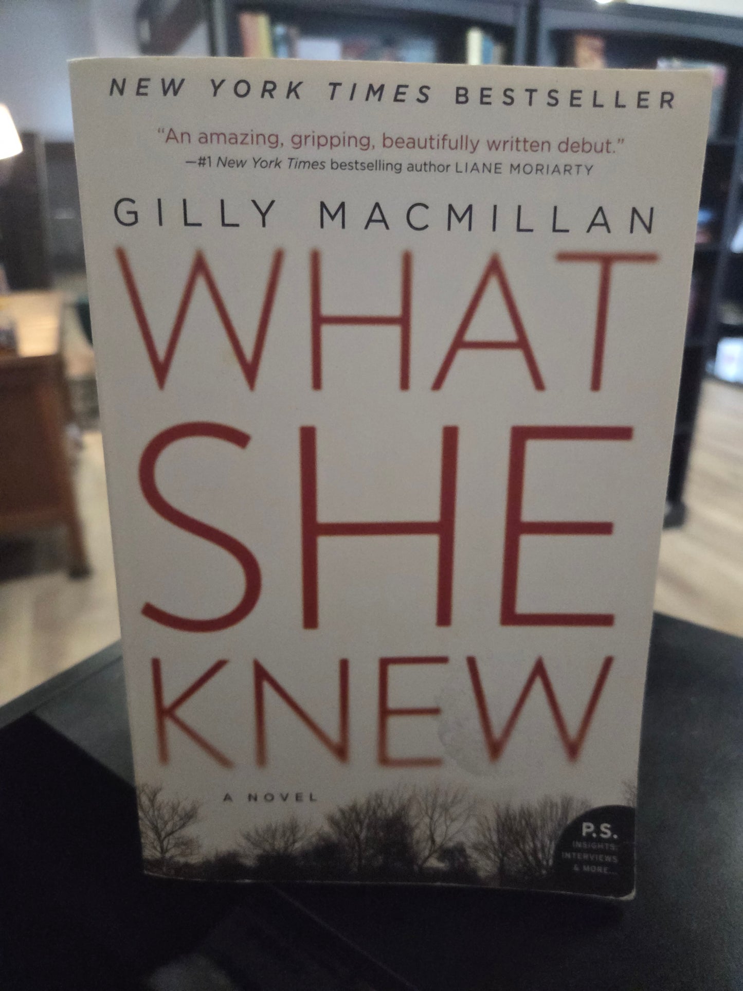 Gilly Macmillan - What She Knew