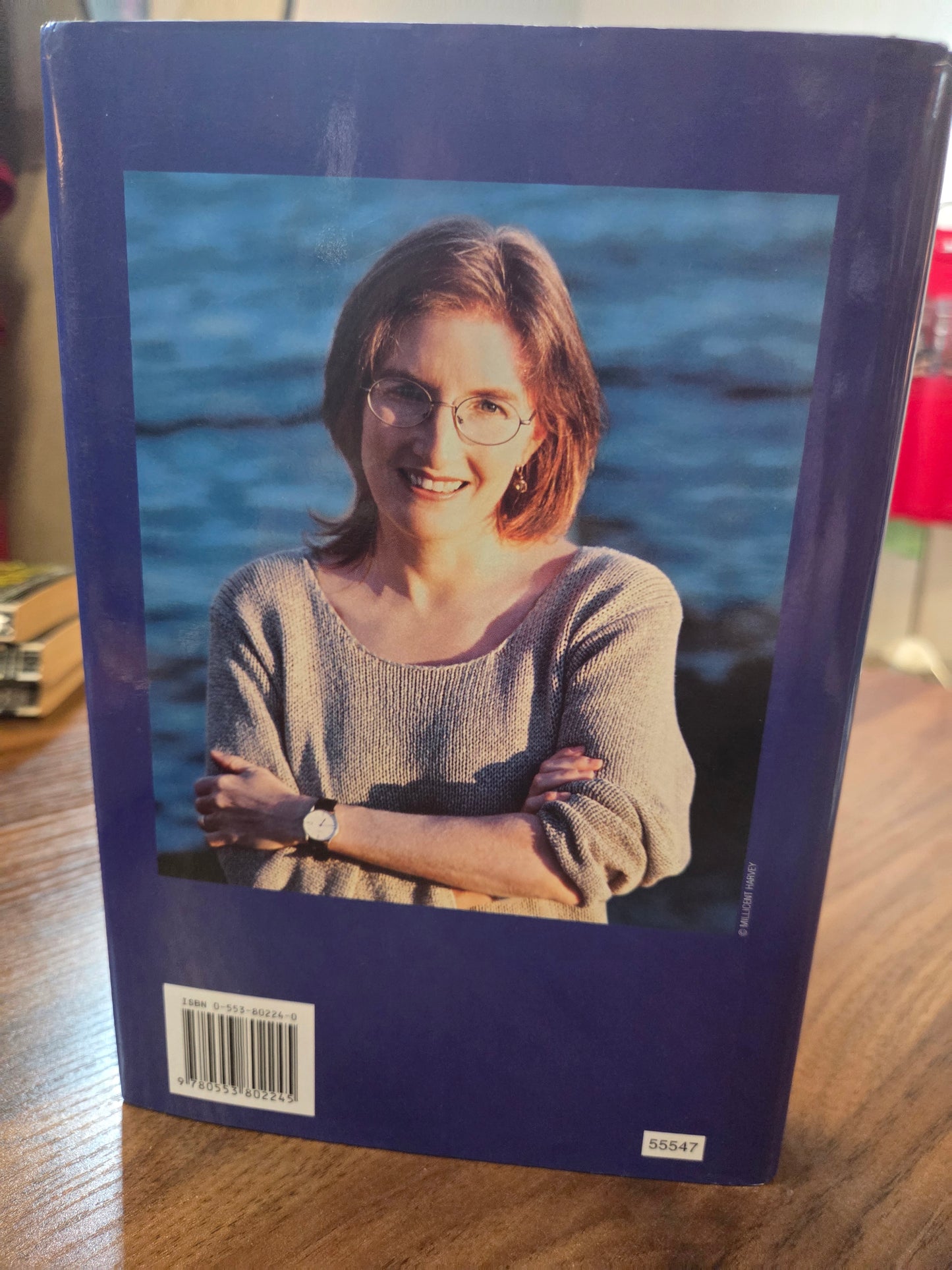 Luanne Rice - The Secret Hour