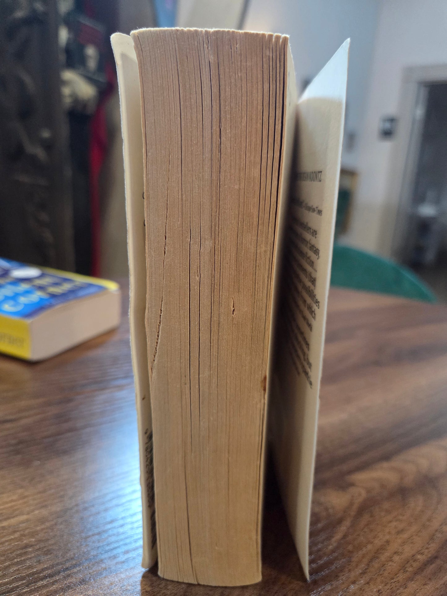 Dean Koontz - Hideaway
