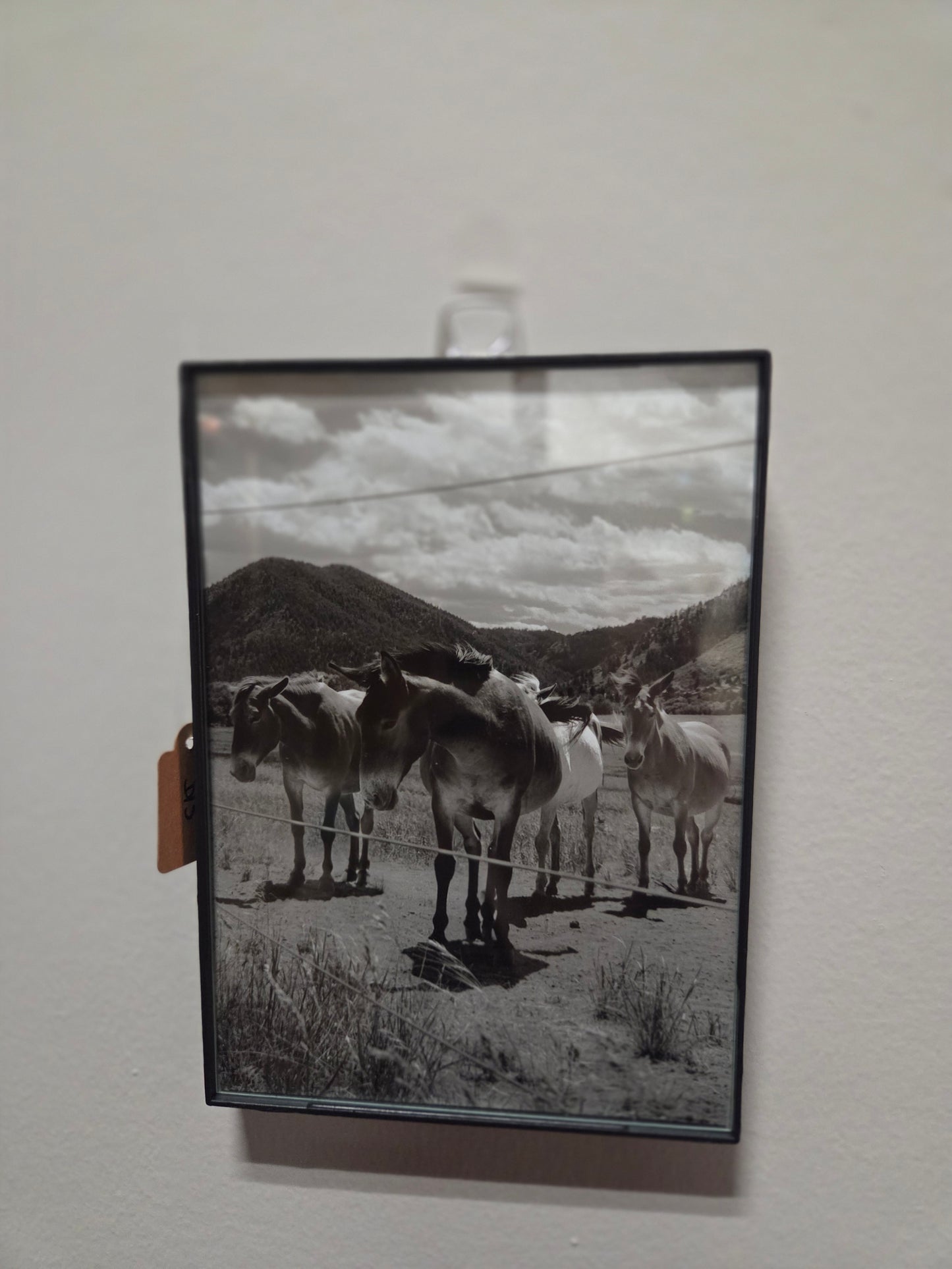 5x7 photo framed