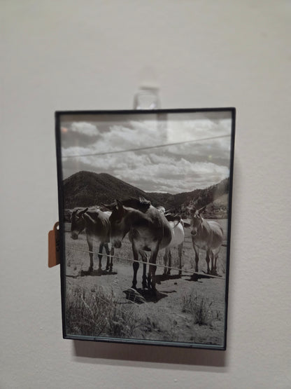 5x7 photo framed