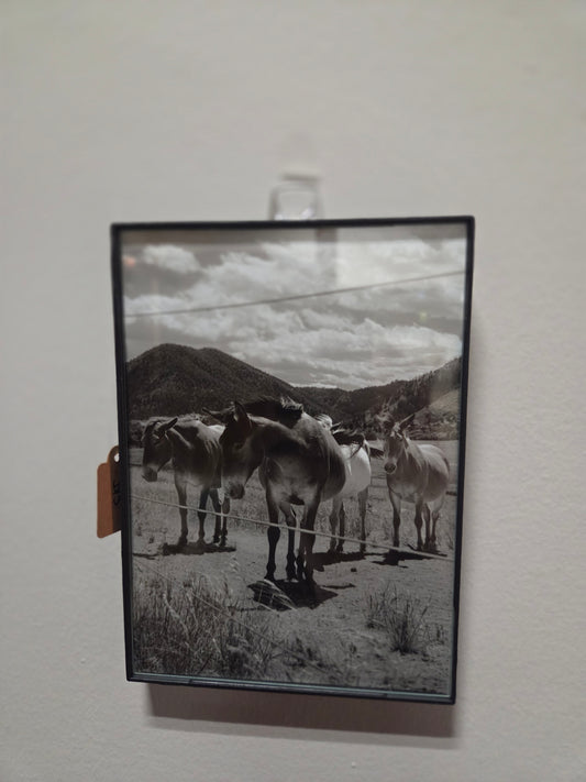 5x7 photo framed