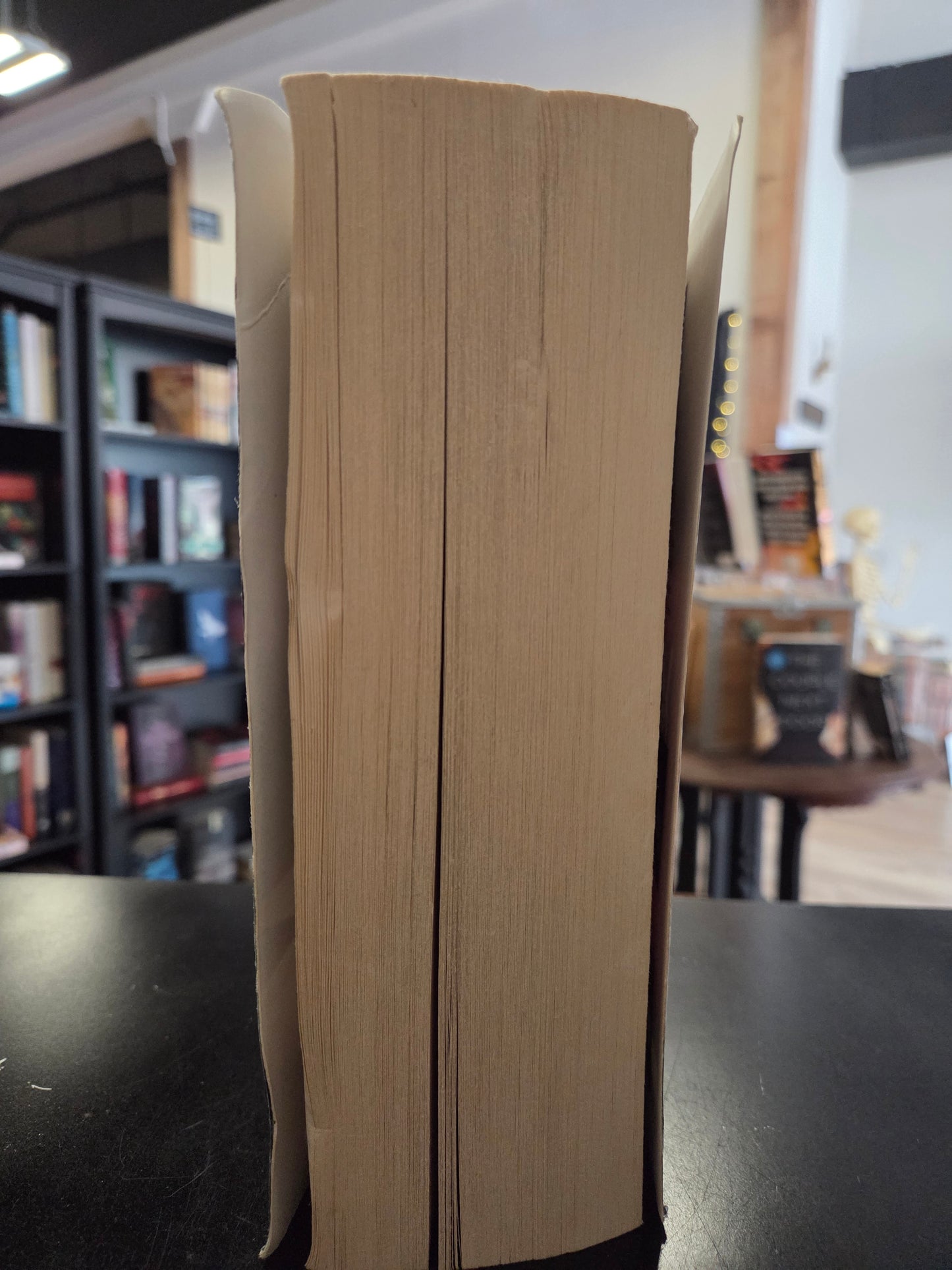 Stephenie Meyer - Breaking Dawn
