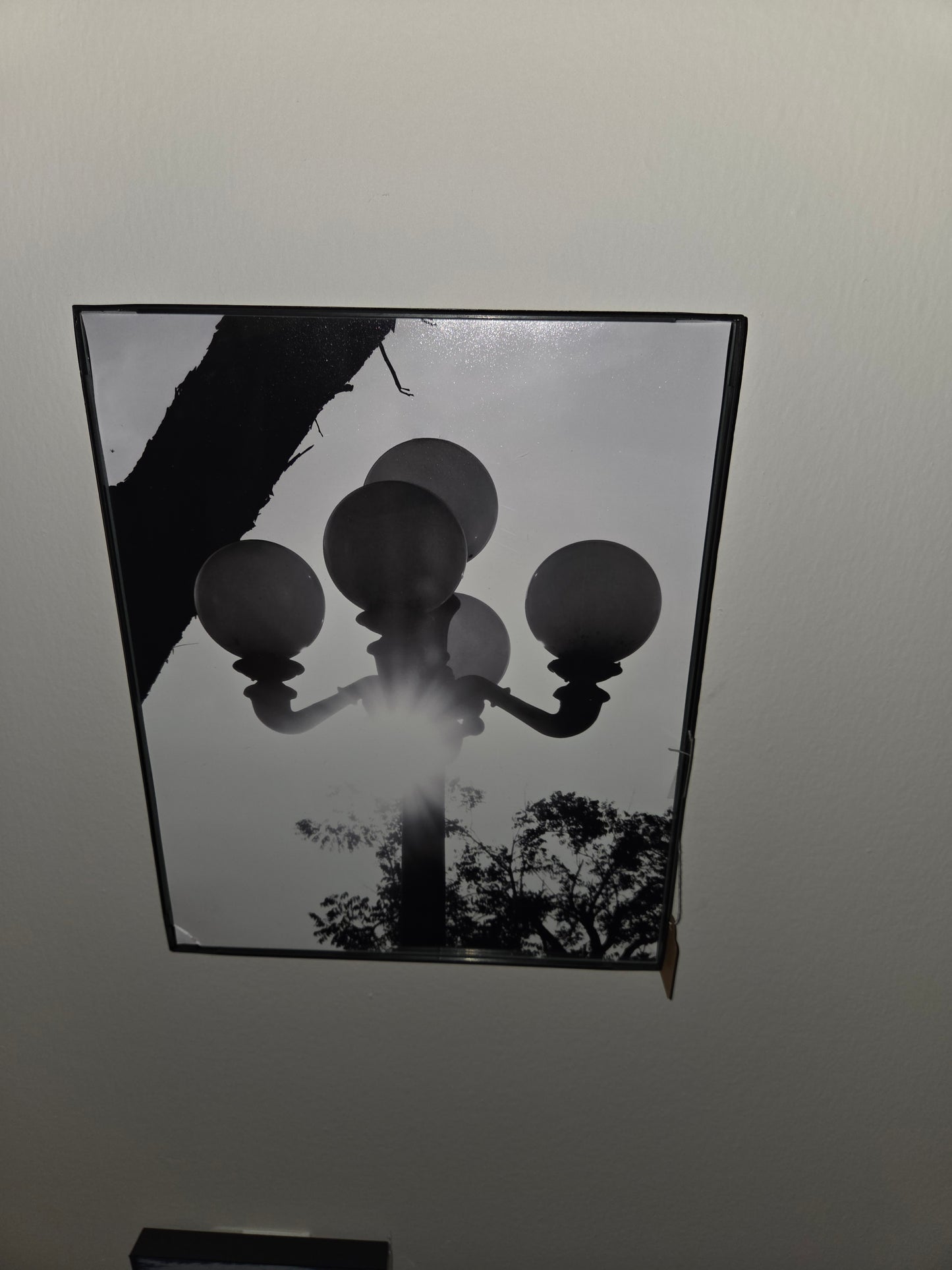 8x11 photos framed