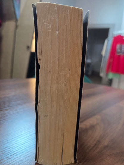 Dean Koontz - The Door to December