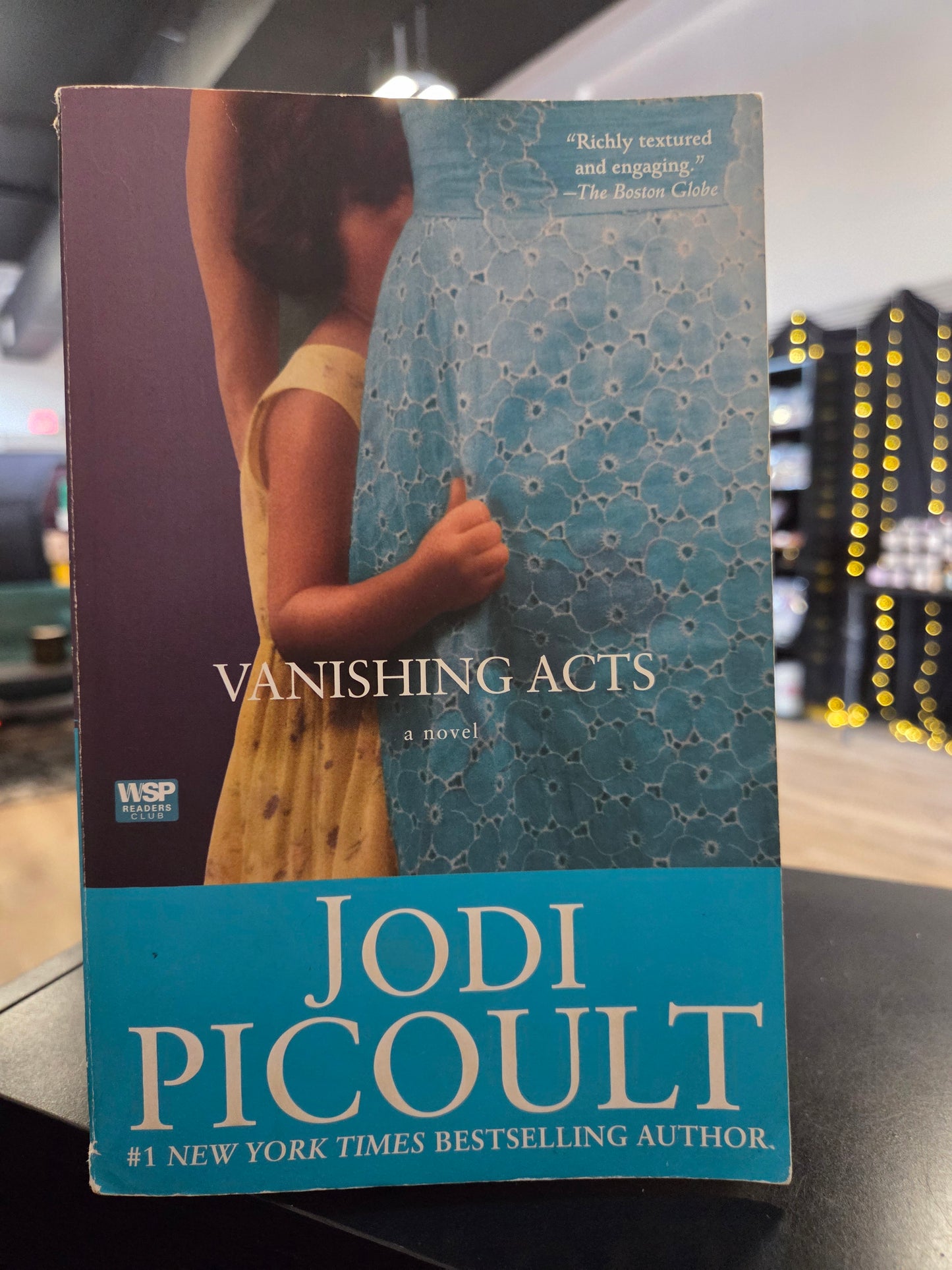Jodi Picoult - Vanishing Acts