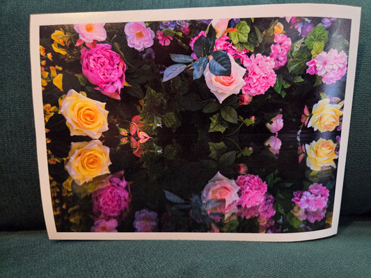 5x7 photo unframed