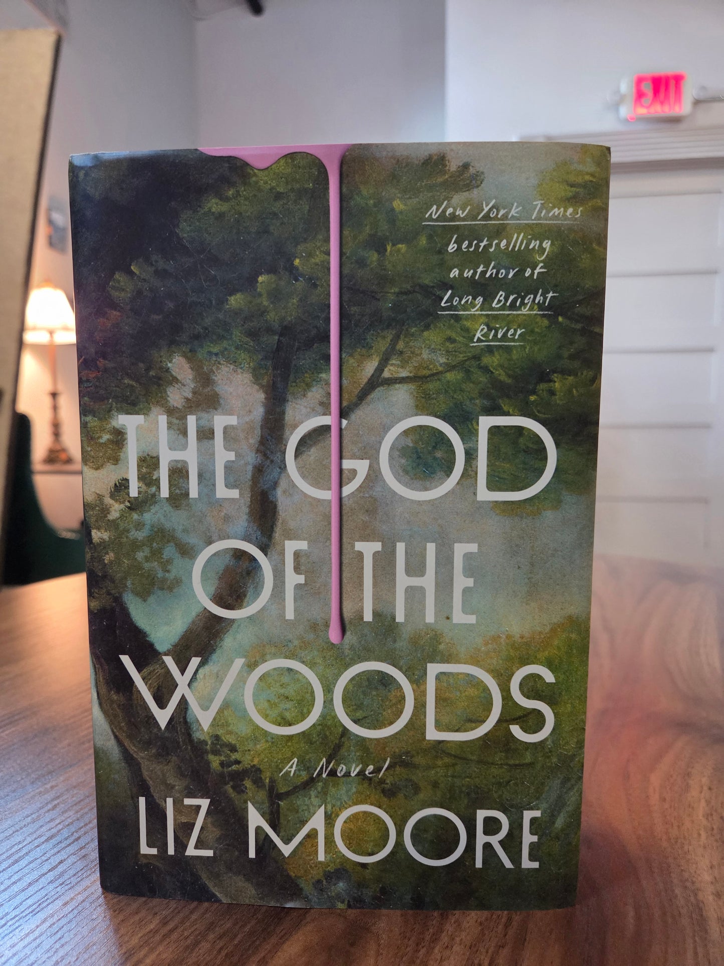 Liz Moore - The God of the Woods