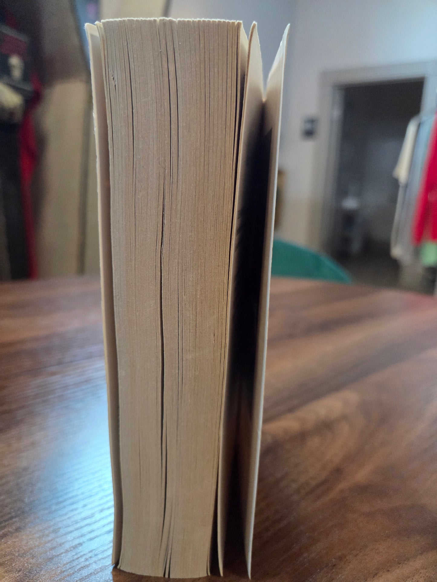 Dean Koontz - Life Expectancy