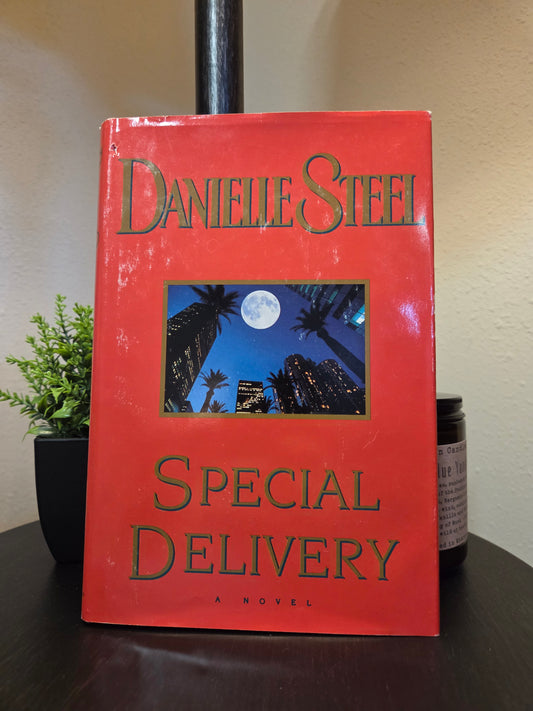 Danielle Steele - Special Delivery