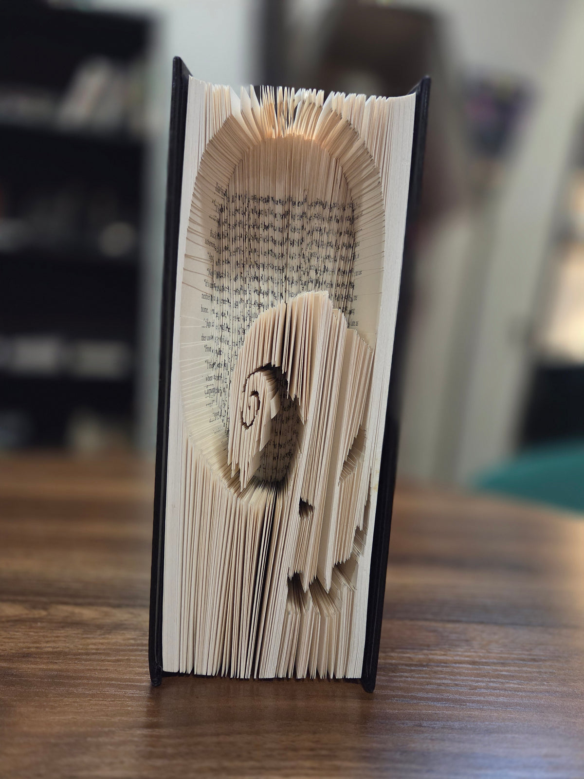 Folded book - NBC