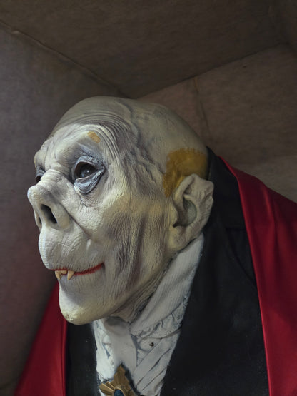 Dracula in coffin