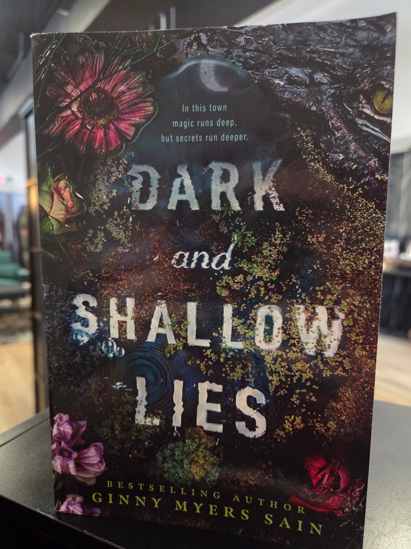 Ginny Sain - Dark and Shallow Lies