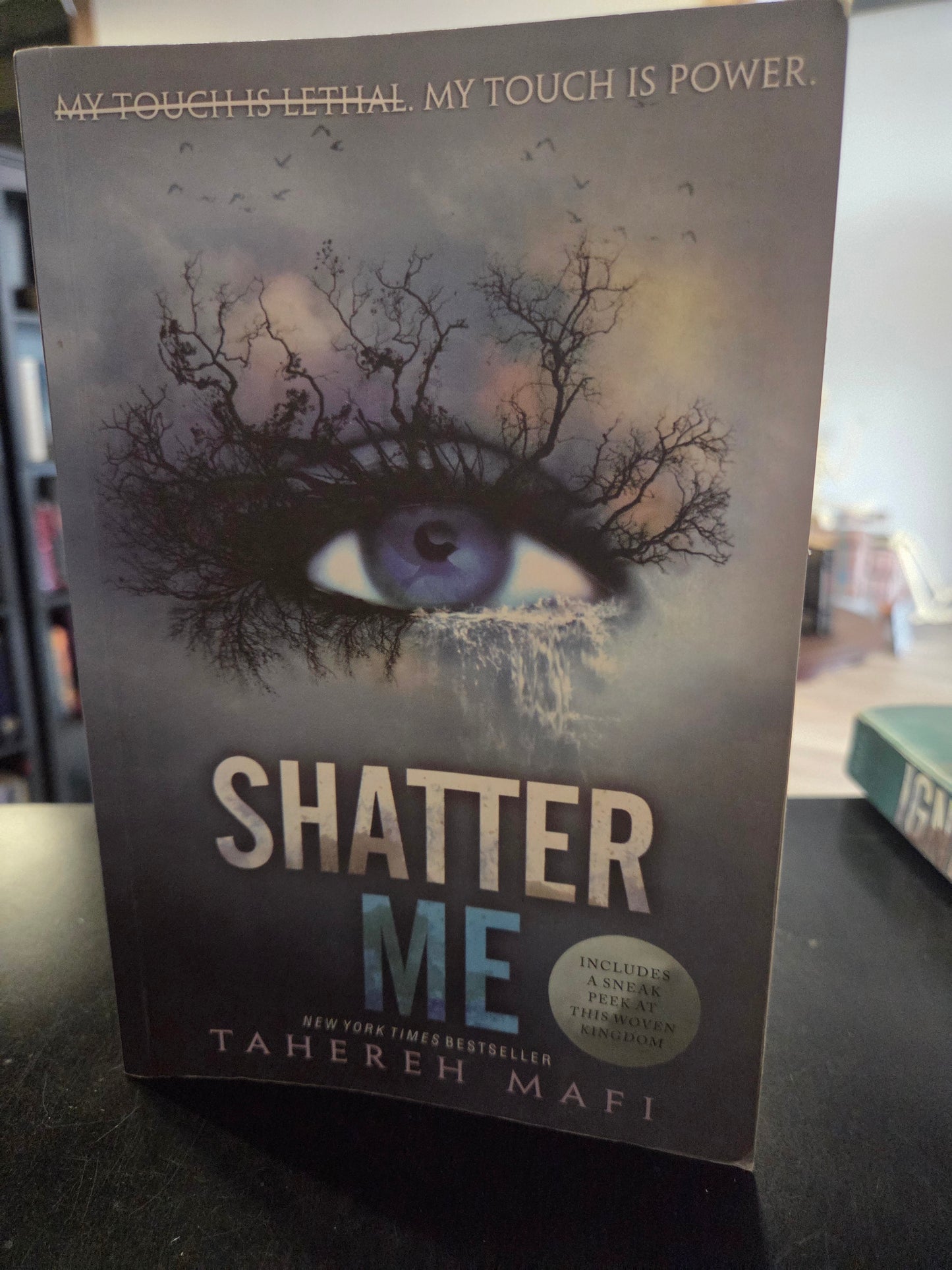 Tahereh Mafi - Shatter Me