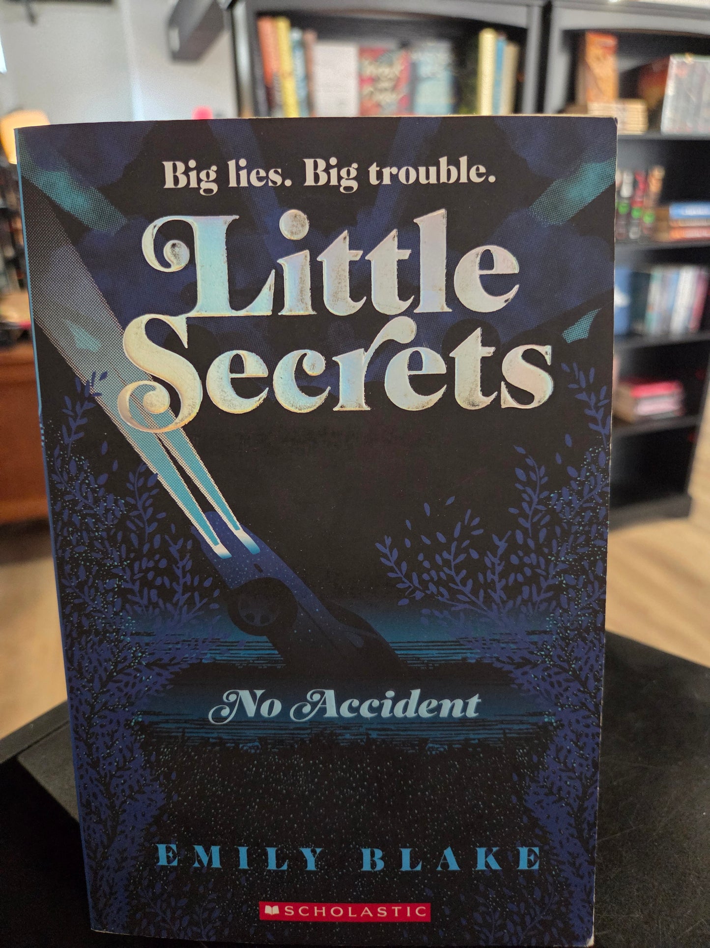 Emily Blake - Little Secrets 2 - No Accident
