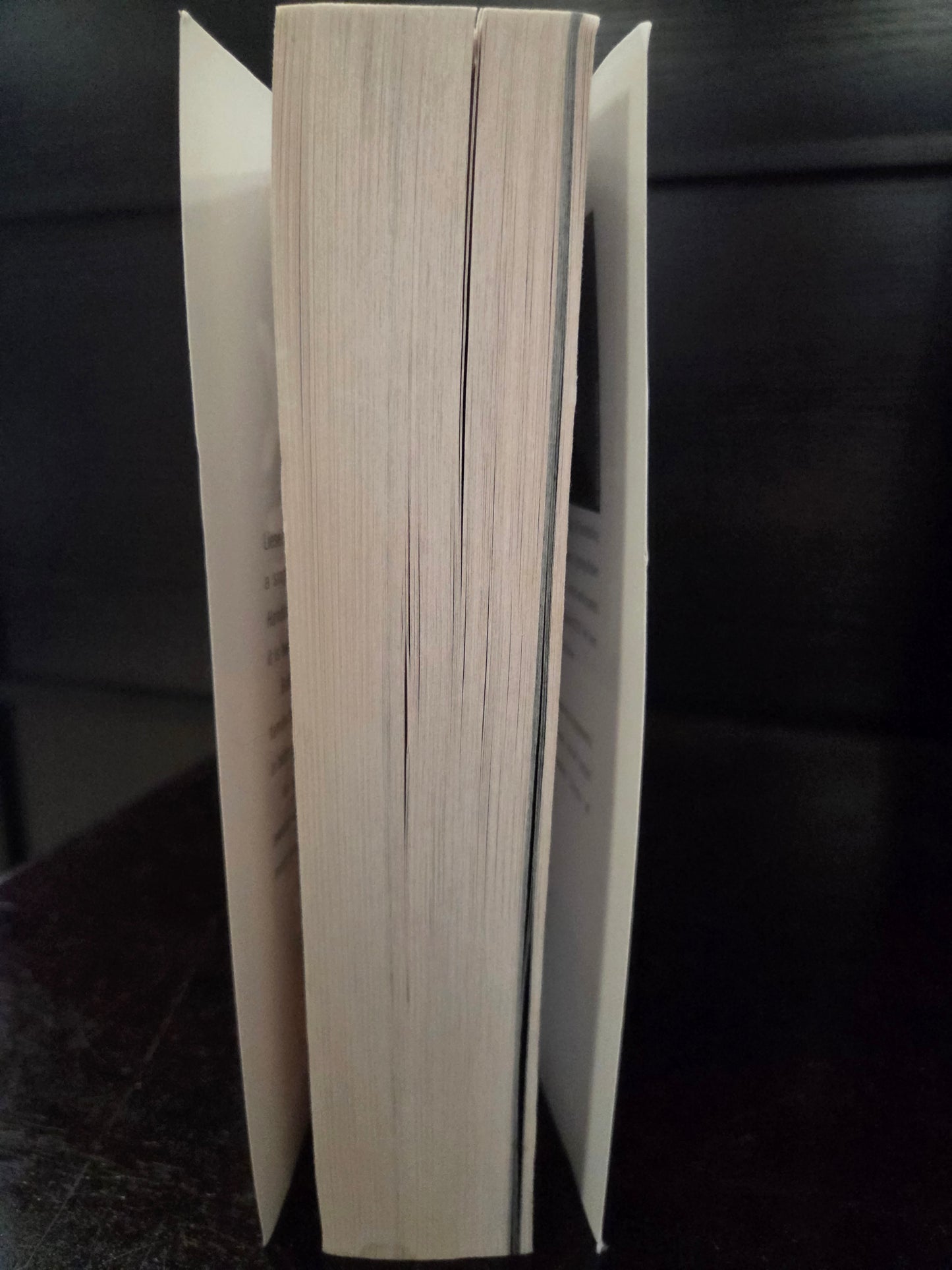 Markus Zusak - The Book Thief