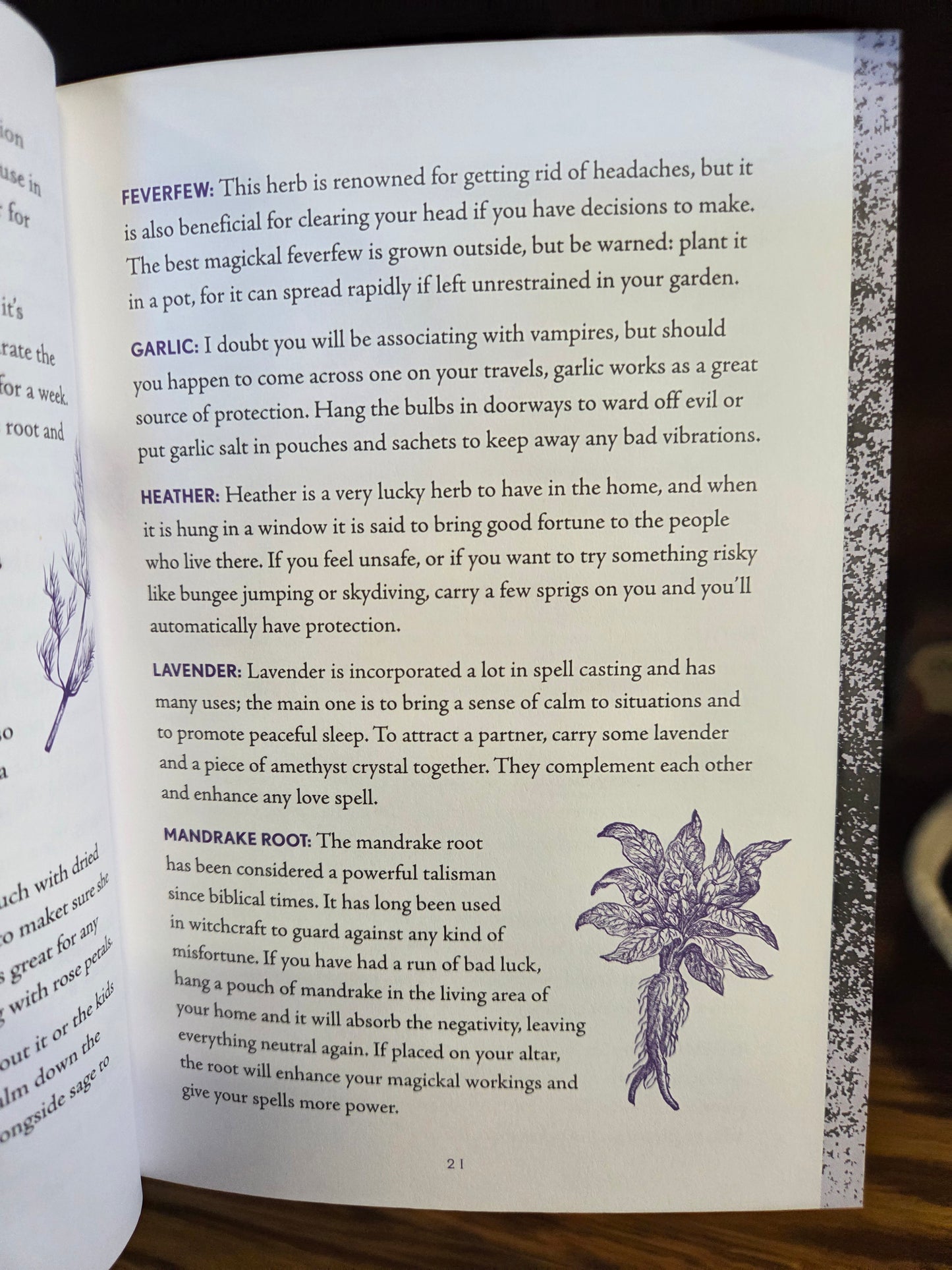Shawn Robbins - wiccapedia journal