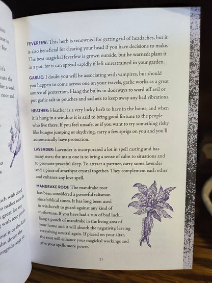 Shawn Robbins - wiccapedia journal