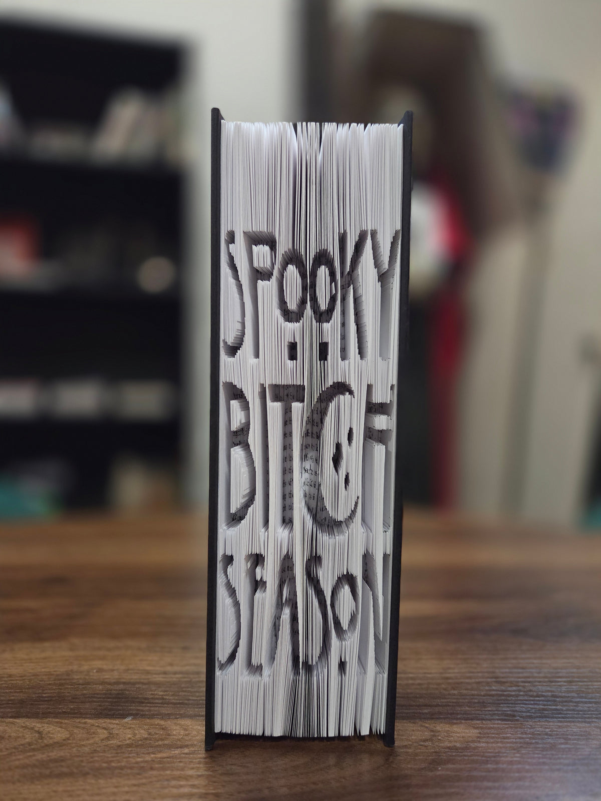 Folded book - spooky bitch