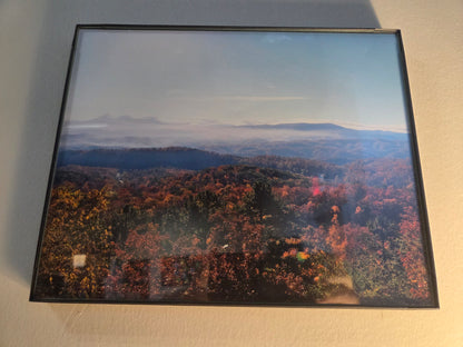 8x11 photos framed