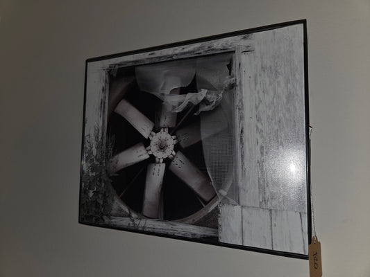 8x11 photos framed