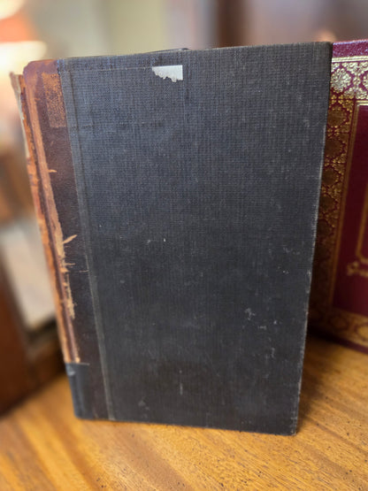 Georg Studhardt - Kommentar über den Ersten Brief Petri (German Biblical commentary)