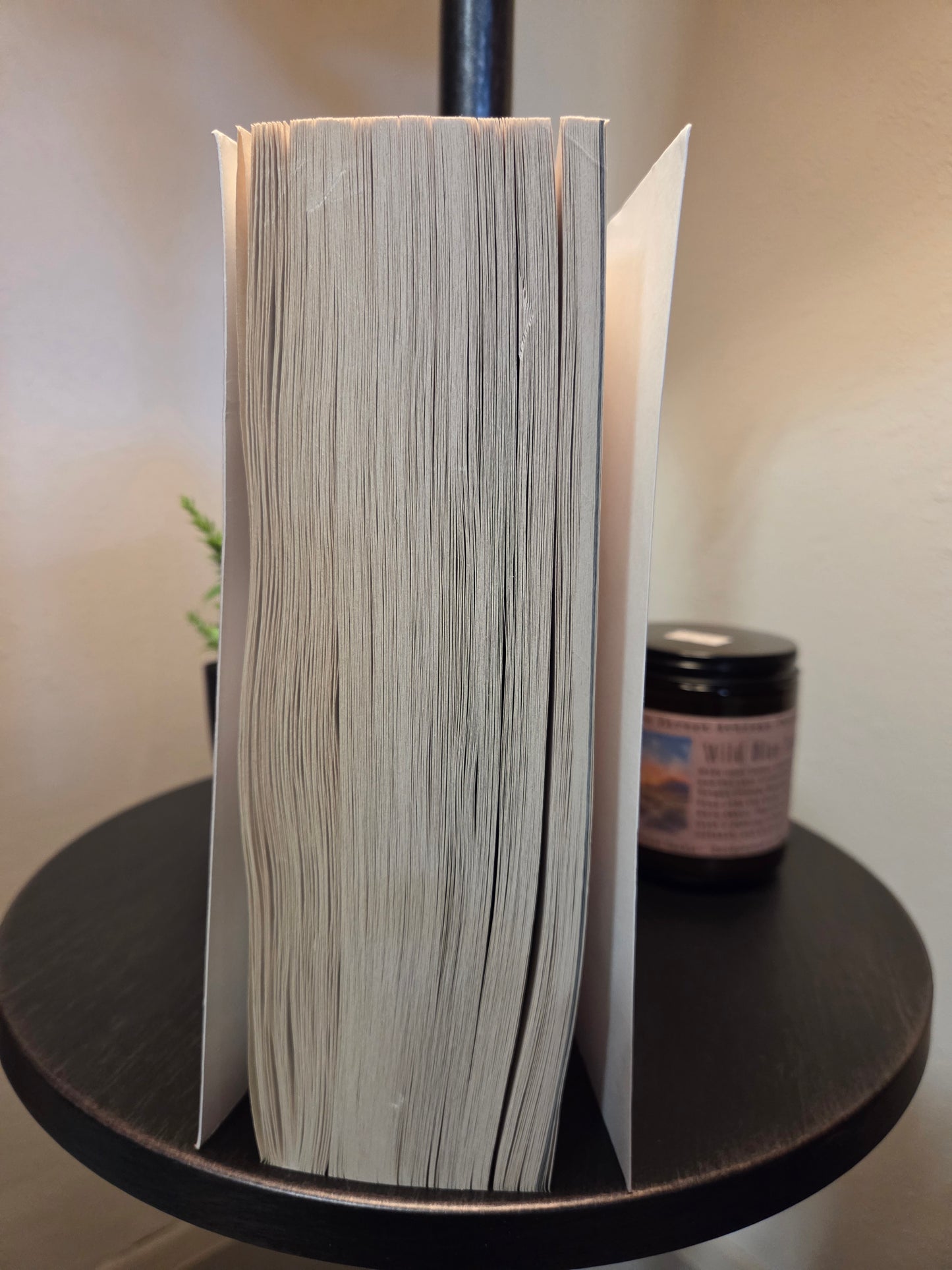Sarah Maas - Tower of Dawn