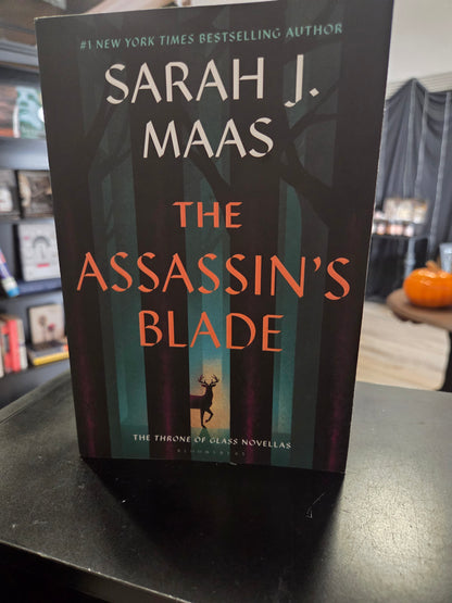Sarah J. Maas - The Assassin's Blade